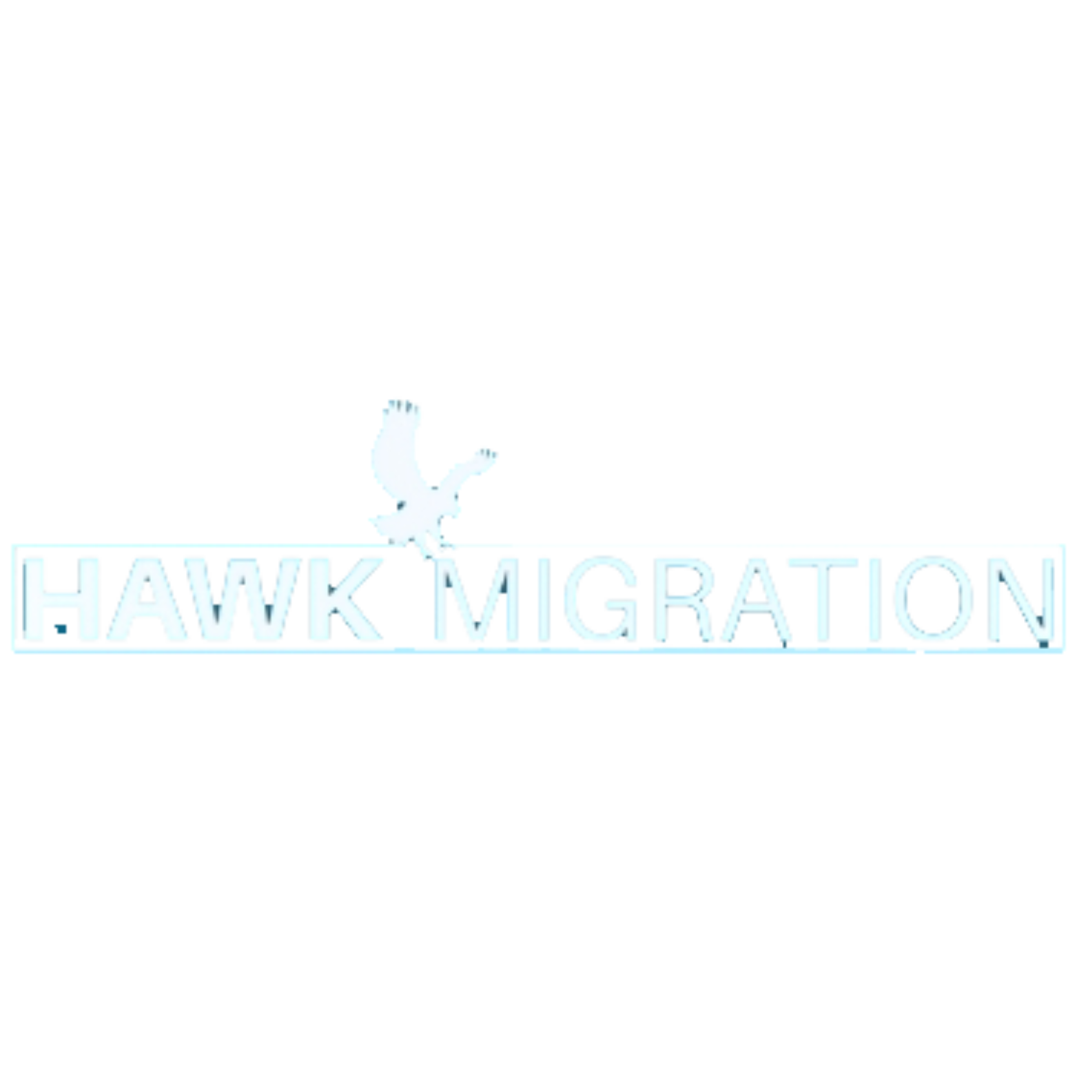 Hawk Migration